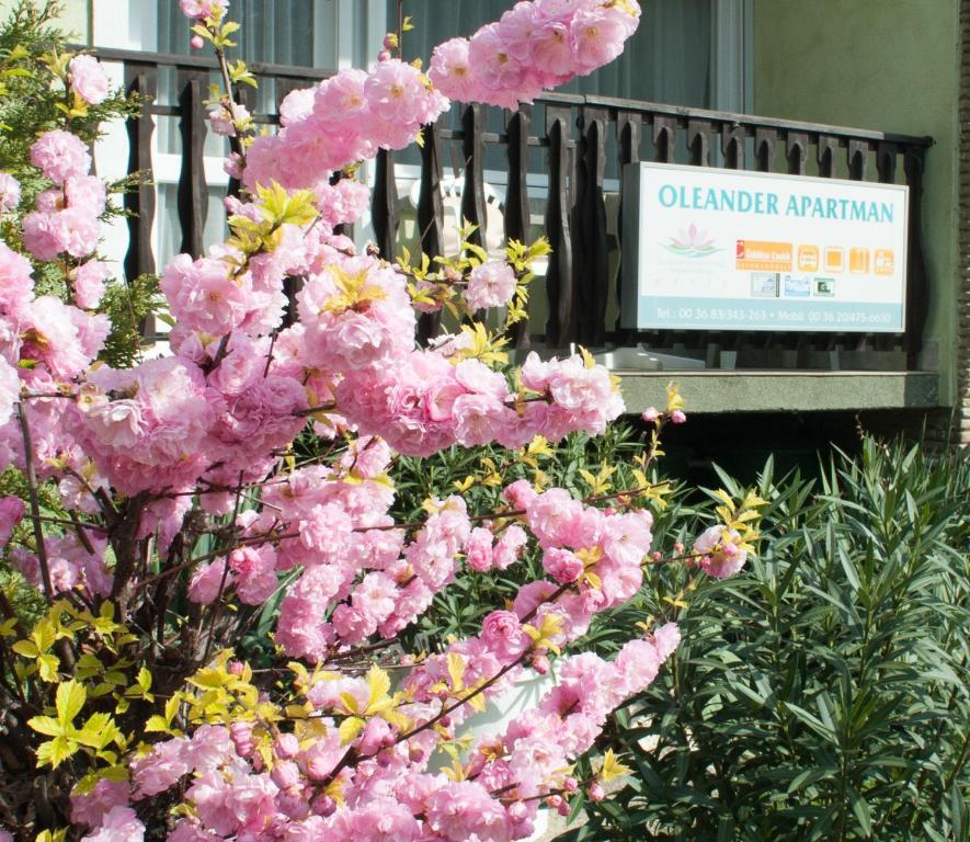 Oleander Apartman Heviz Exterior foto