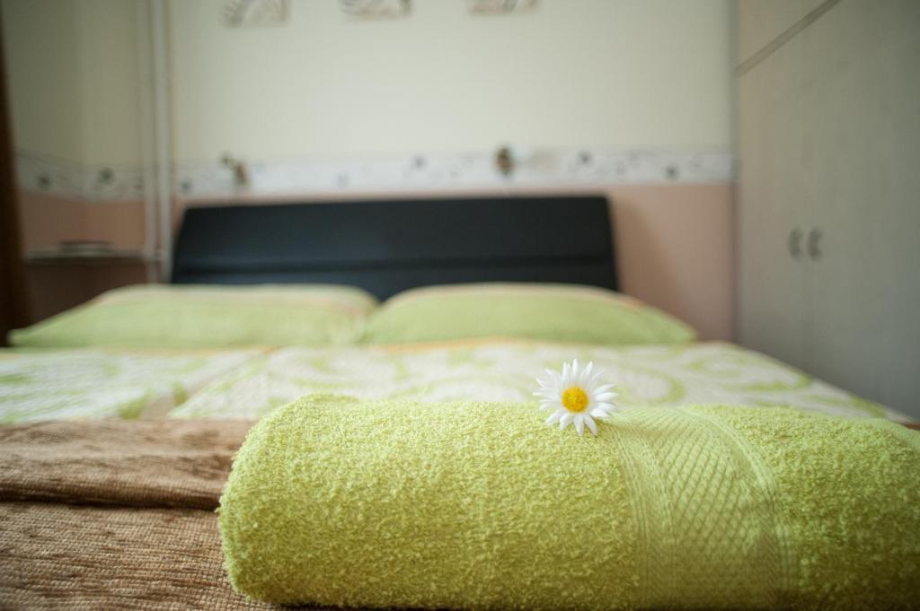 Oleander Apartman Heviz Exterior foto